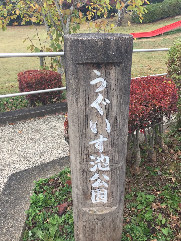 f:id:darucoro9216kun:20211114181020j:image f:id:darucoro9216kun:20211114181020j:image