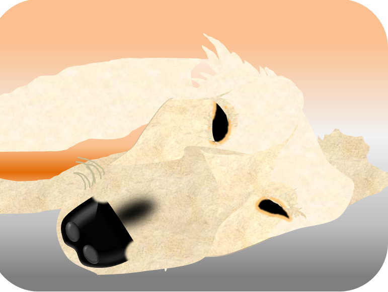 f:id:darucoro9216kun:20200821094144p:plain