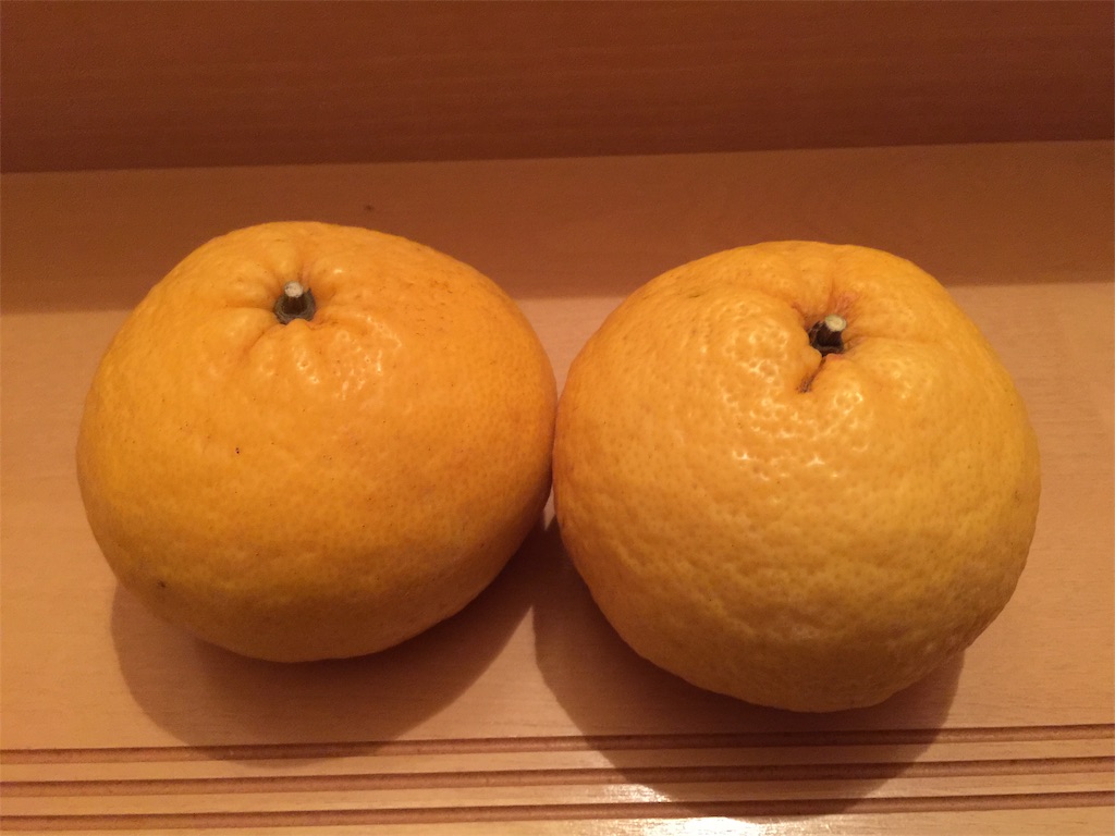 f:id:darucoro9216kun:20200821094144p:plain