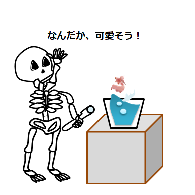 f:id:darucoro9216kun:20200821094144p:plain f:id:darucoro9216kun:20200821094144p:plain