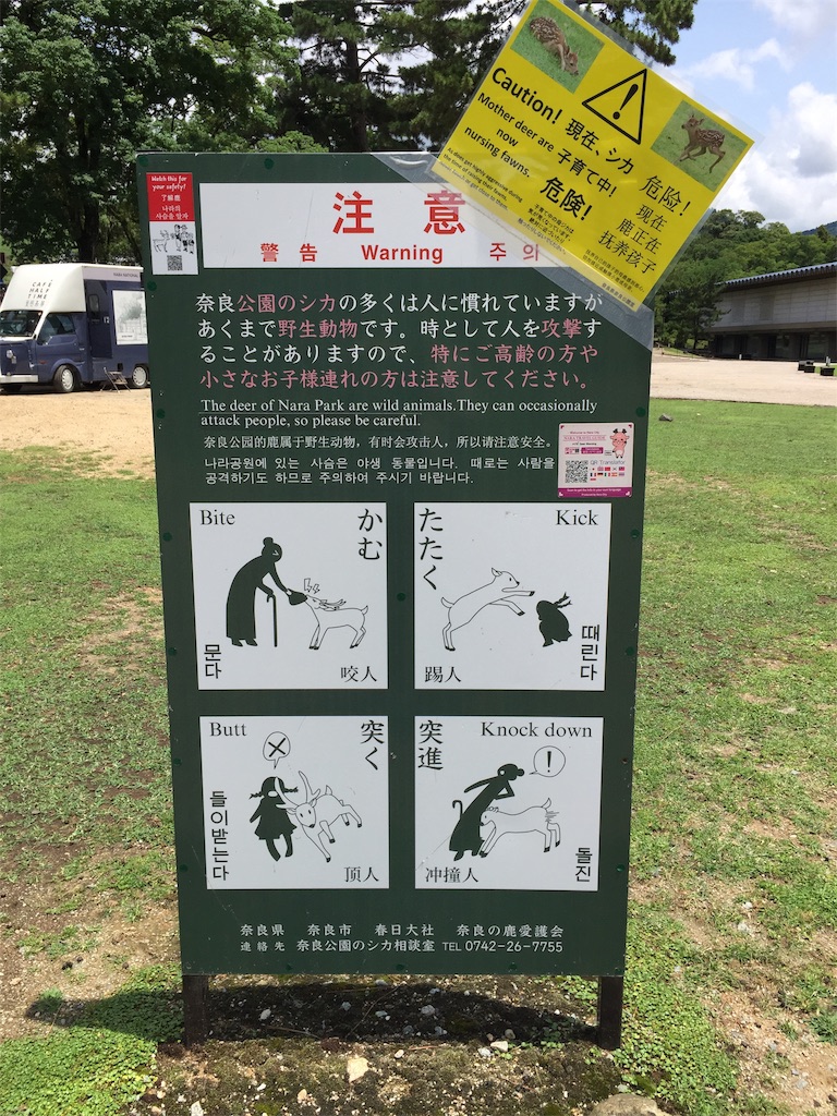 f:id:darucoro9216kun:20220710180340j:image f:id:darucoro9216kun:20220710180340j:image