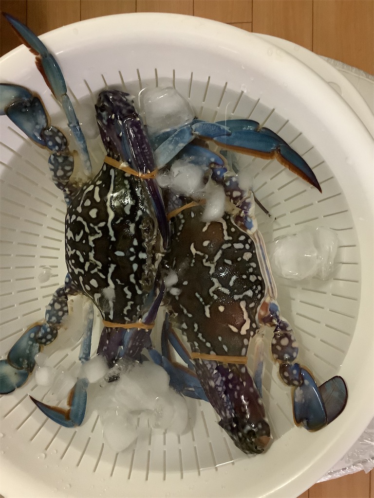 タイワンガザミ だるころ だぁ るまさんがこぉ ろんだ