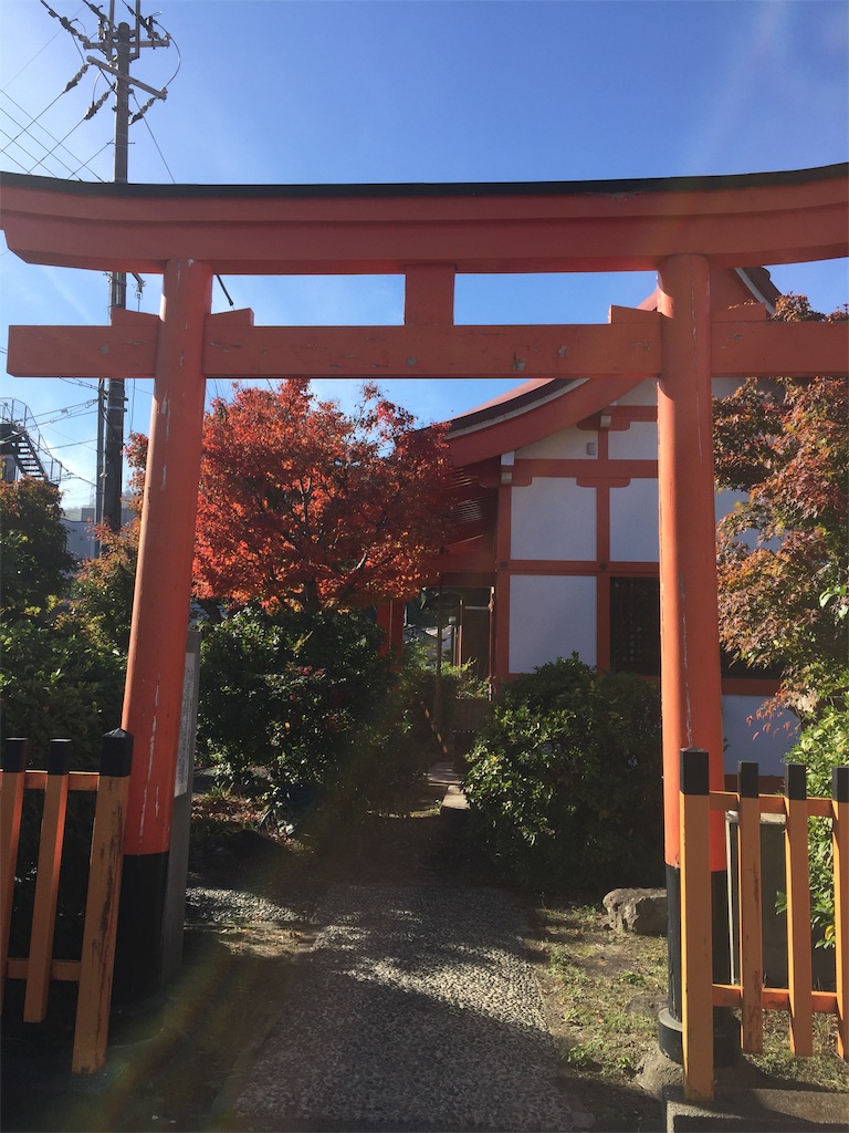 f:id:darucoro9216kun:20221129195531j:image