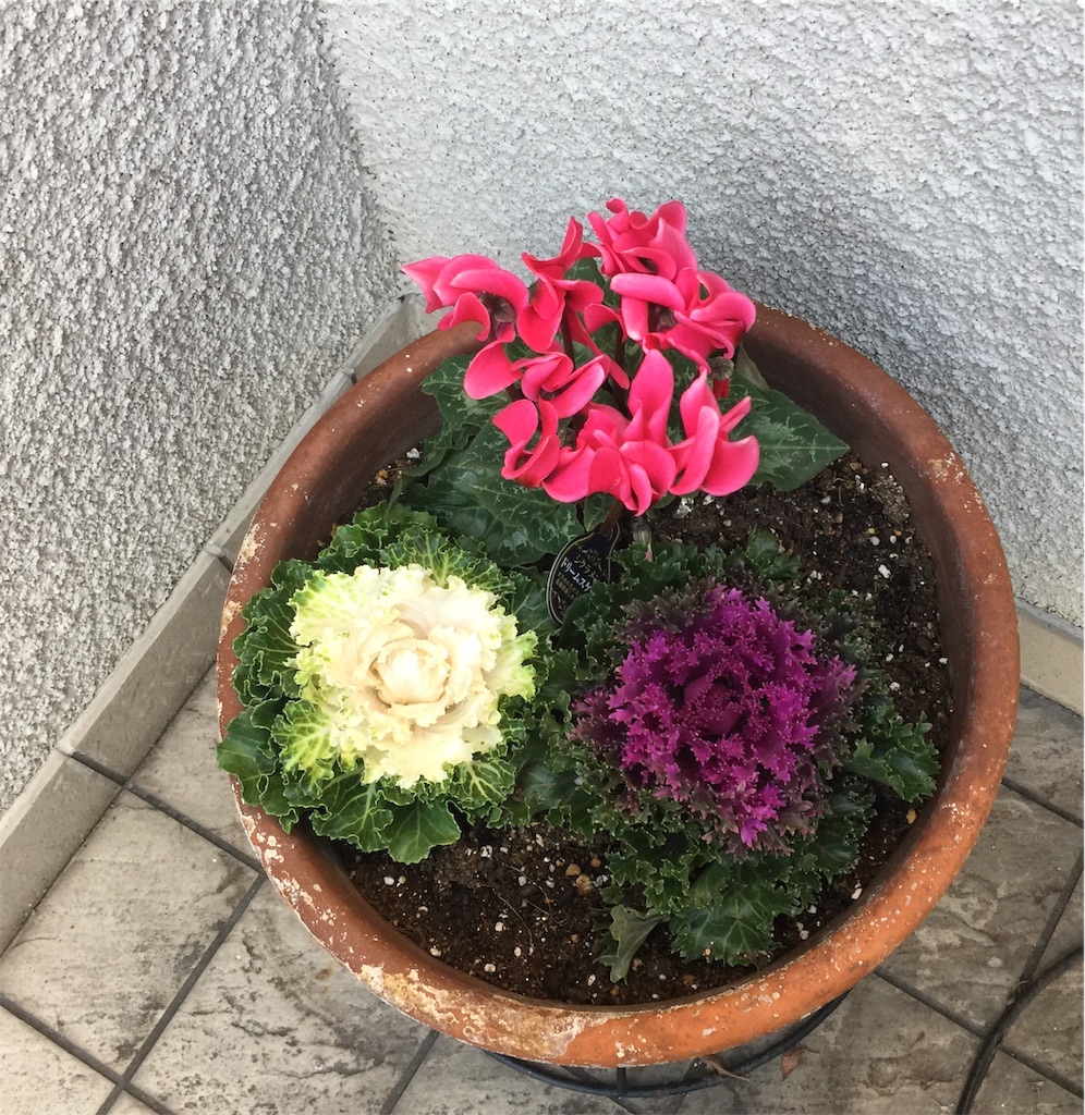 f:id:darucoro9216kun:20221129195637j:image