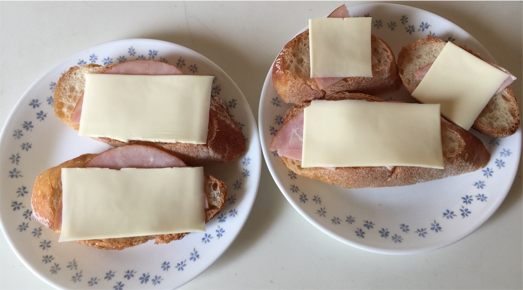 f:id:darucoro9216kun:20230312080716j:image f:id:darucoro9216kun:20230312080716j:image