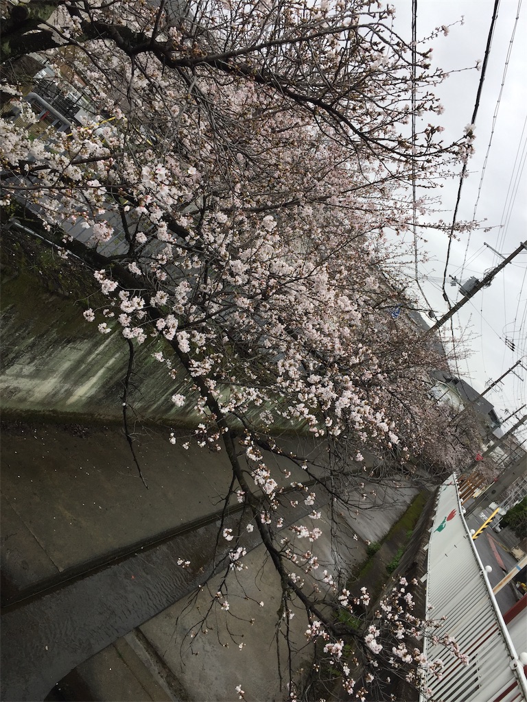 f:id:darucoro9216kun:20230325221128j:image f:id:darucoro9216kun:20230325221128j:image