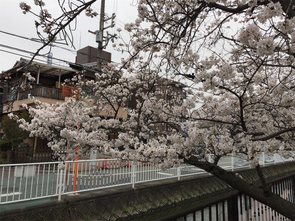 f:id:darucoro9216kun:20230325221215j:image f:id:darucoro9216kun:20230325221215j:image