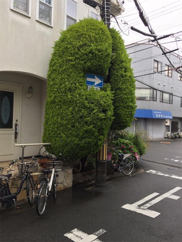 f:id:darucoro9216kun:20230415204920j:image f:id:darucoro9216kun:20230415204920j:image