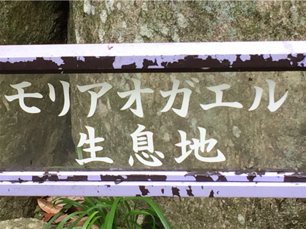 f:id:darucoro9216kun:20230604131645j:image f:id:darucoro9216kun:20230604131645j:image