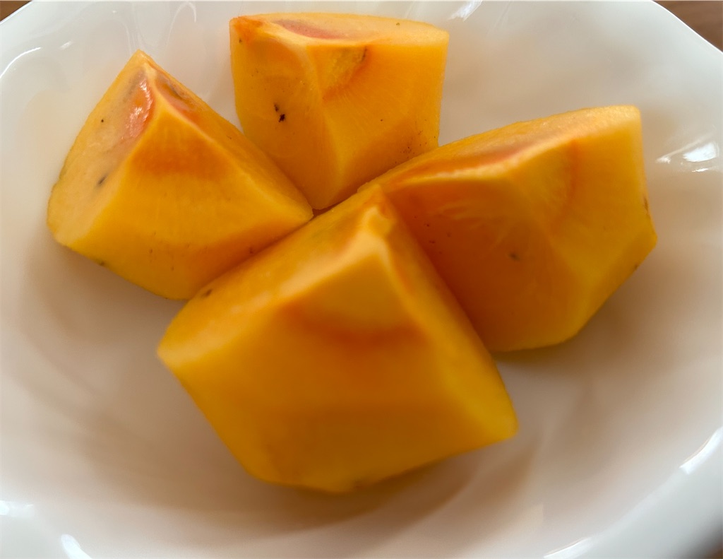 f:id:darucoro9216kun:20231008131338j:image f:id:darucoro9216kun:20231008131338j:image