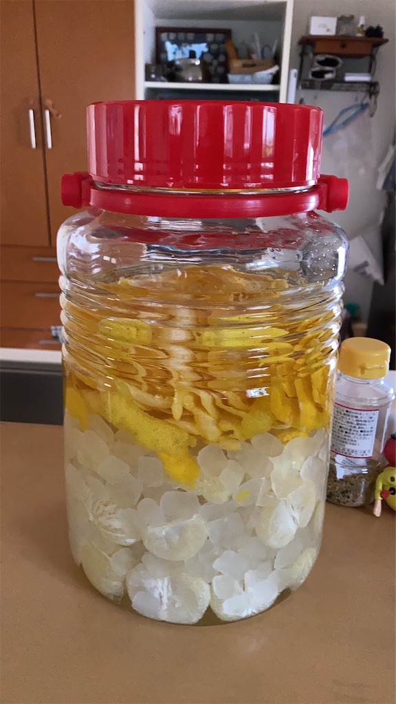 f:id:darucoro9216kun:20231211140212j:image f:id:darucoro9216kun:20231211140212j:image