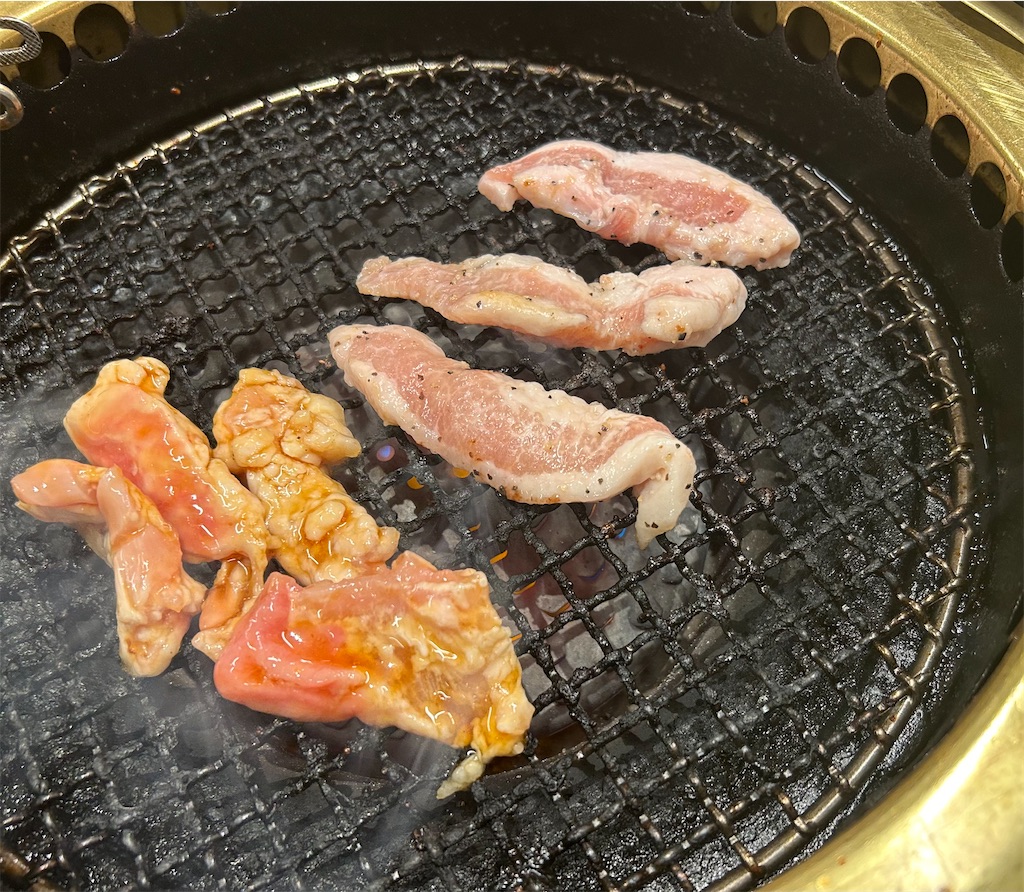 f:id:darucoro9216kun:20240310095419j:image