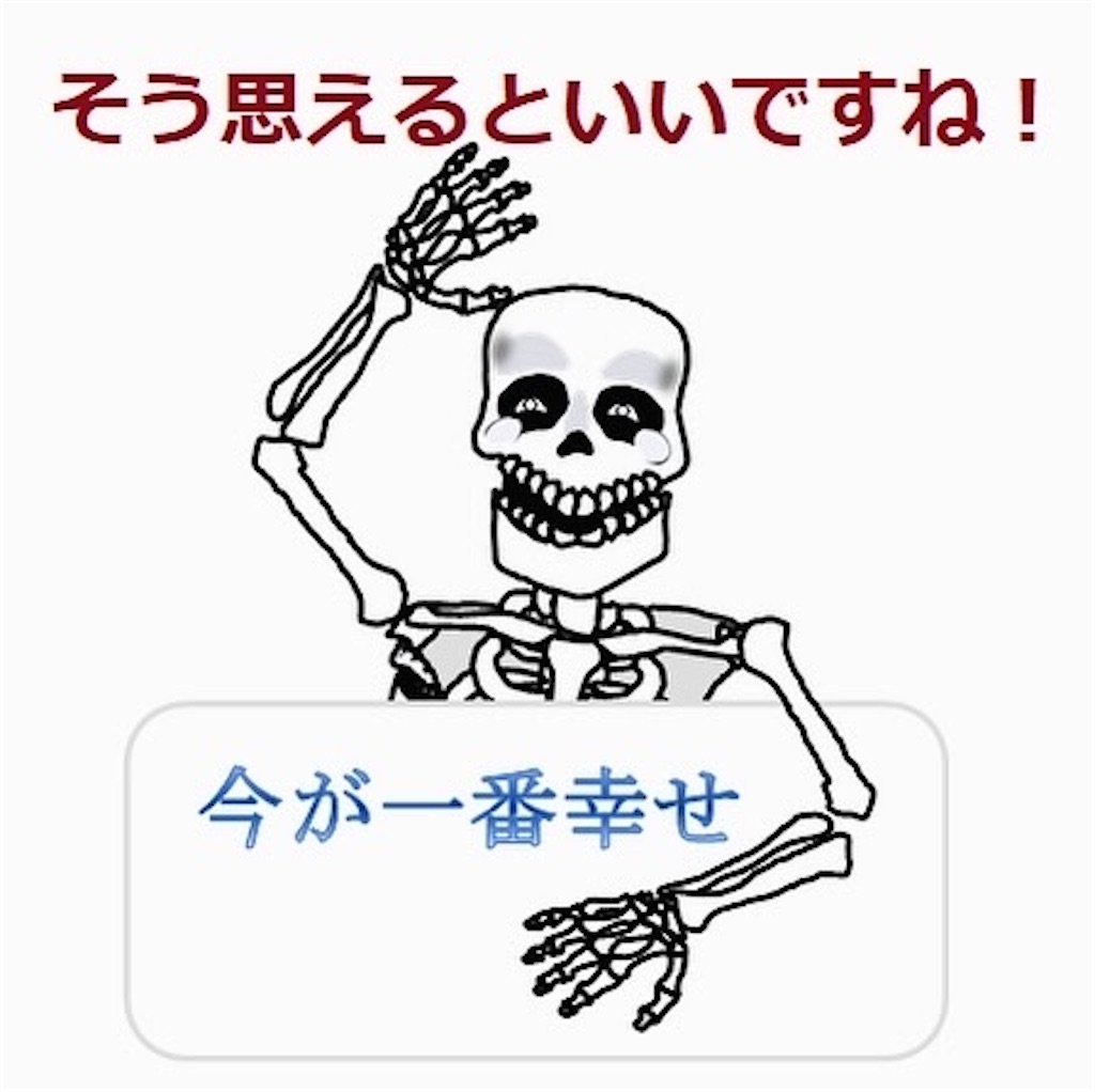 f:id:darucoro9216kun:20240505100701j:image