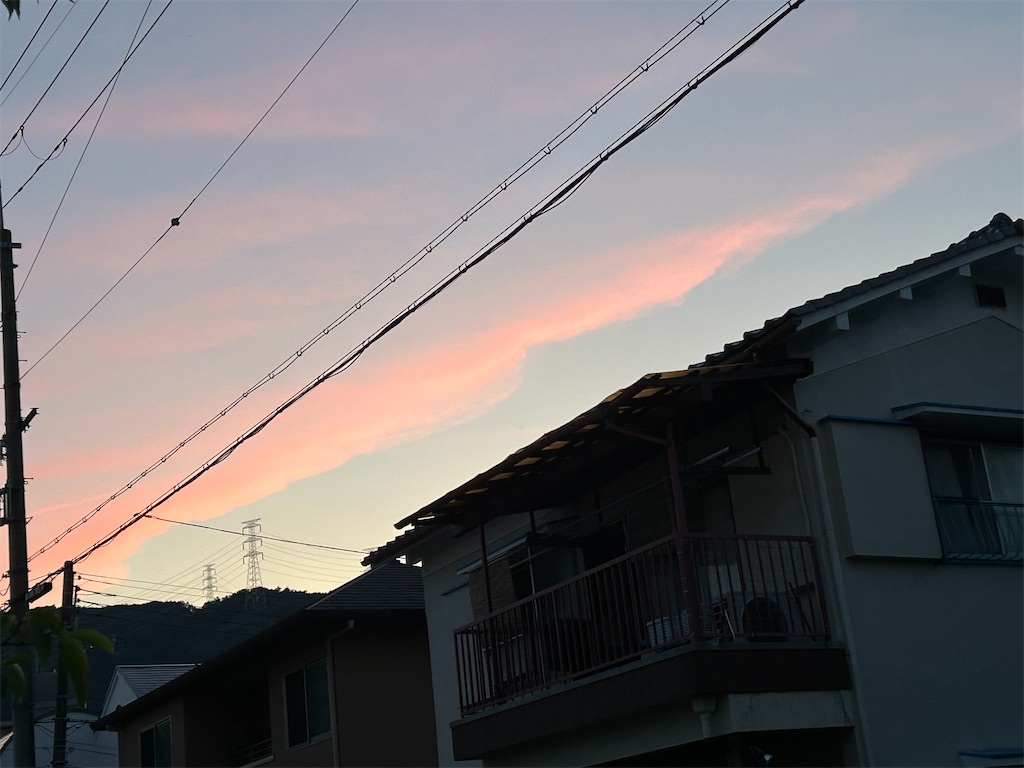 f:id:darucoro9216kun:20240620100310j:image