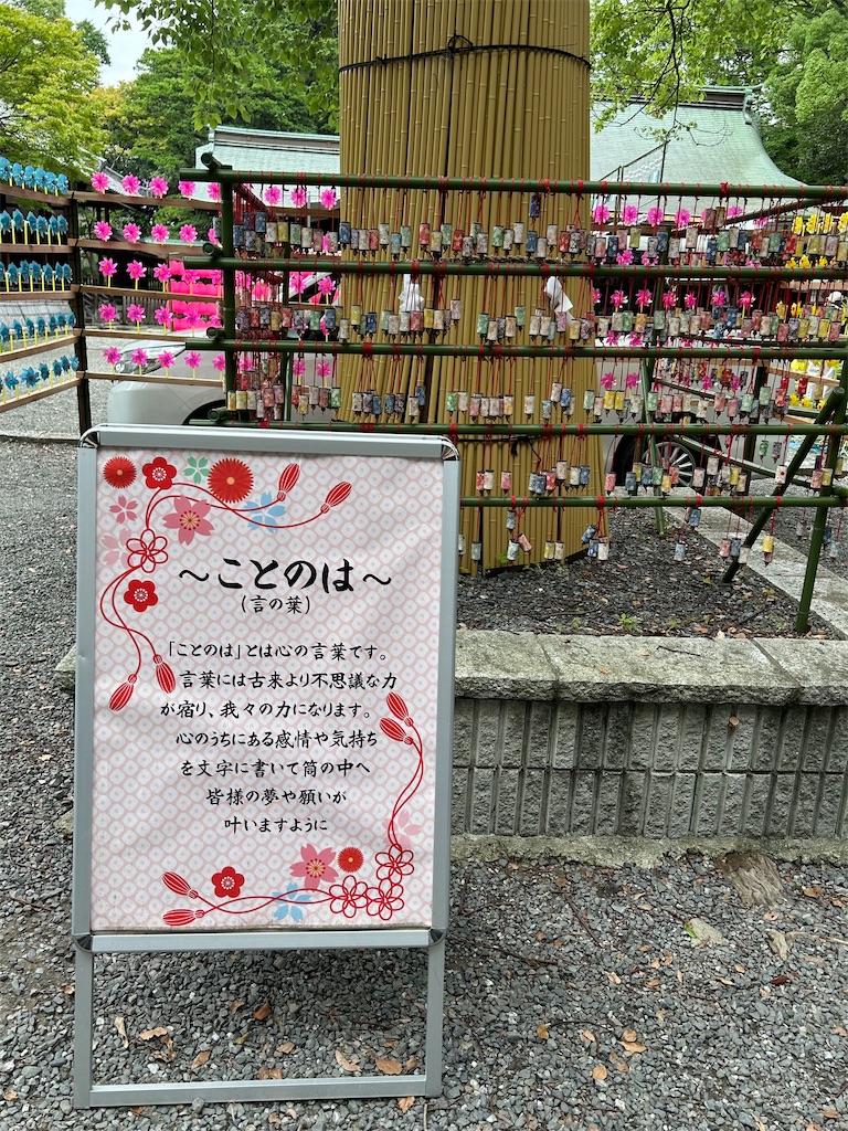 f:id:darucoro9216kun:20240627170435j:image