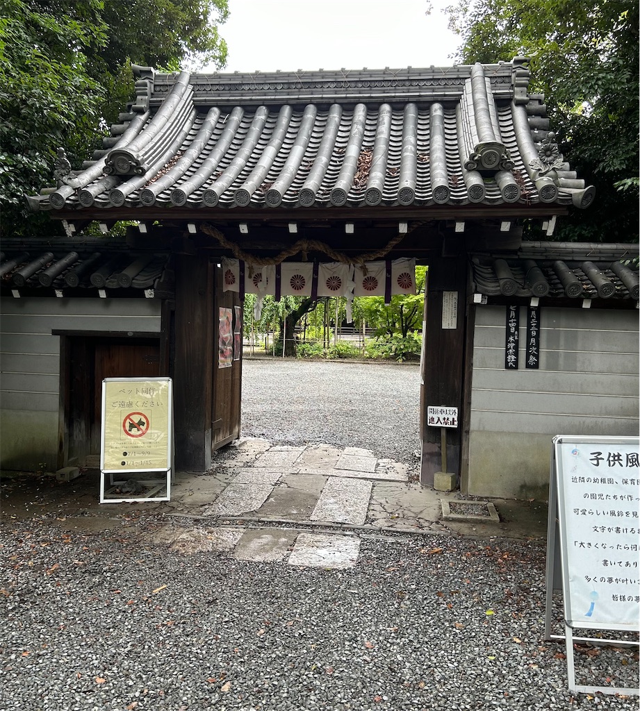 f:id:darucoro9216kun:20240711142906j:image