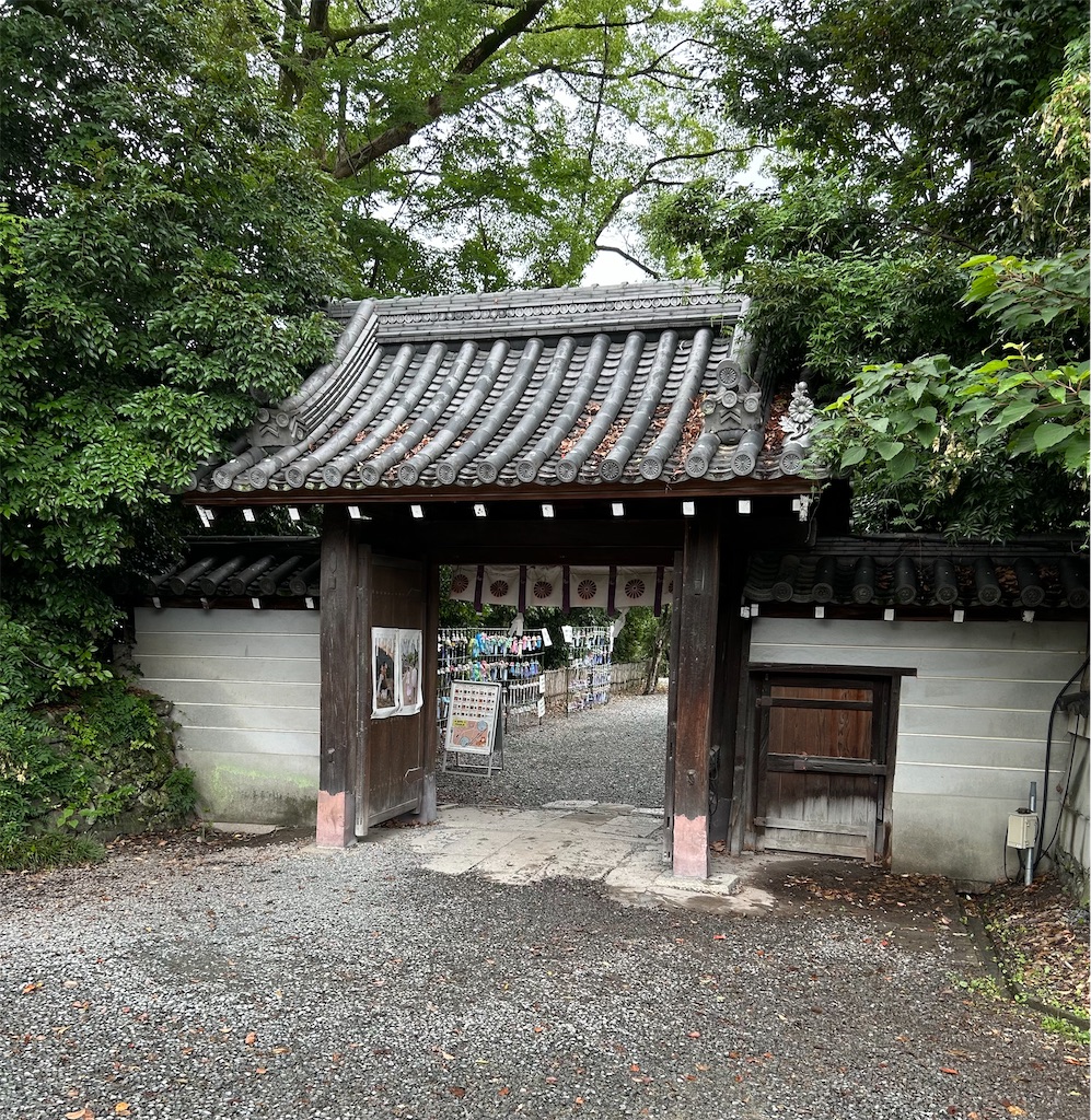 f:id:darucoro9216kun:20240711142951j:image