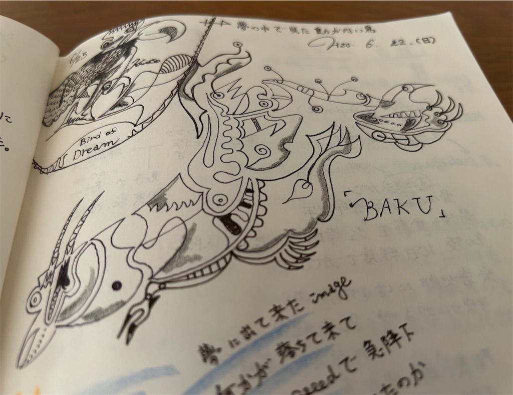 f:id:darucoro9216kun:20240818093736j:image