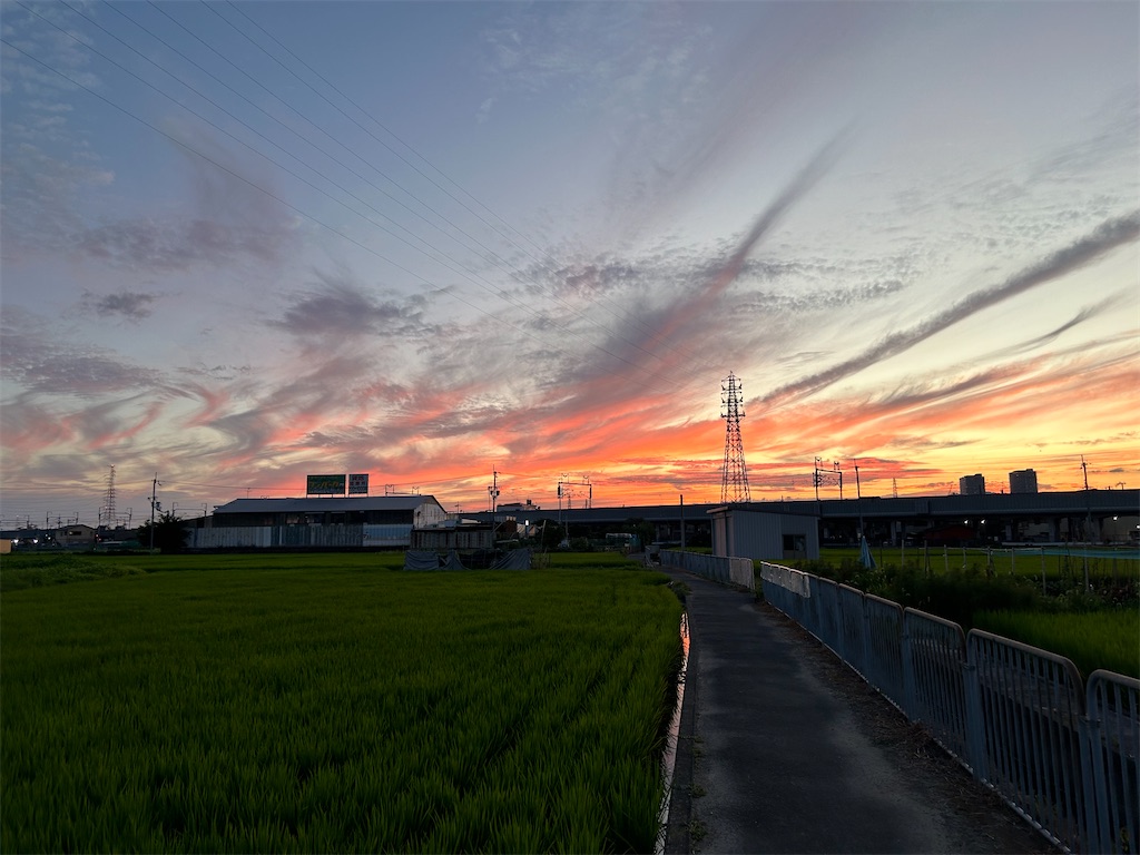 f:id:darucoro9216kun:20240818203628j:image f:id:darucoro9216kun:20240818203628j:image