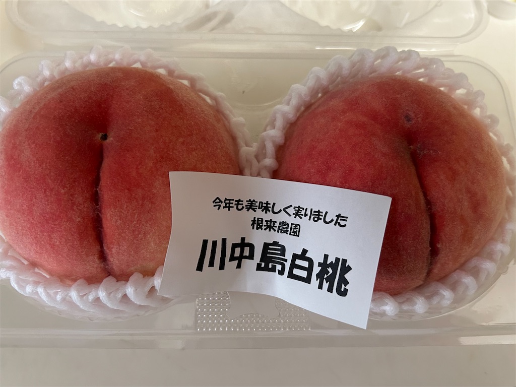 f:id:darucoro9216kun:20240825134324j:image f:id:darucoro9216kun:20240825134324j:image