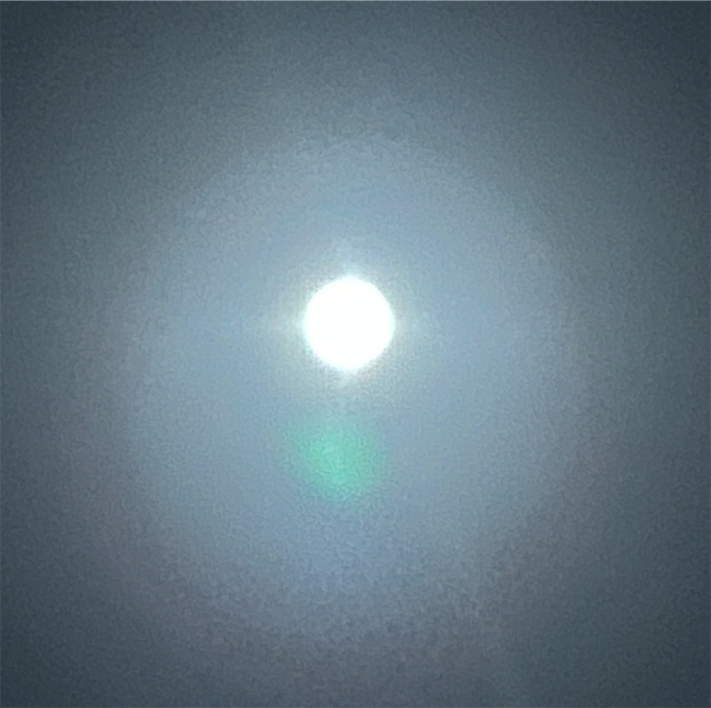 f:id:darucoro9216kun:20240918225523j:image f:id:darucoro9216kun:20240918225523j:image