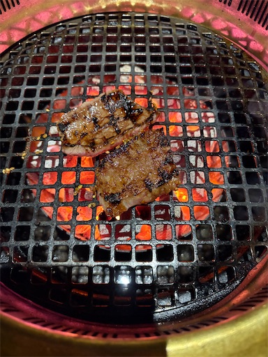 f:id:darucoro9216kun:20241115151538j:image