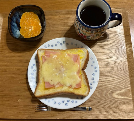f:id:darucoro9216kun:20241116062833j:image