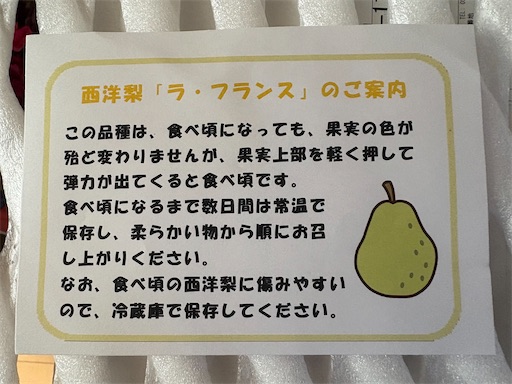 f:id:darucoro9216kun:20241201114329j:image f:id:darucoro9216kun:20241201114329j:image
