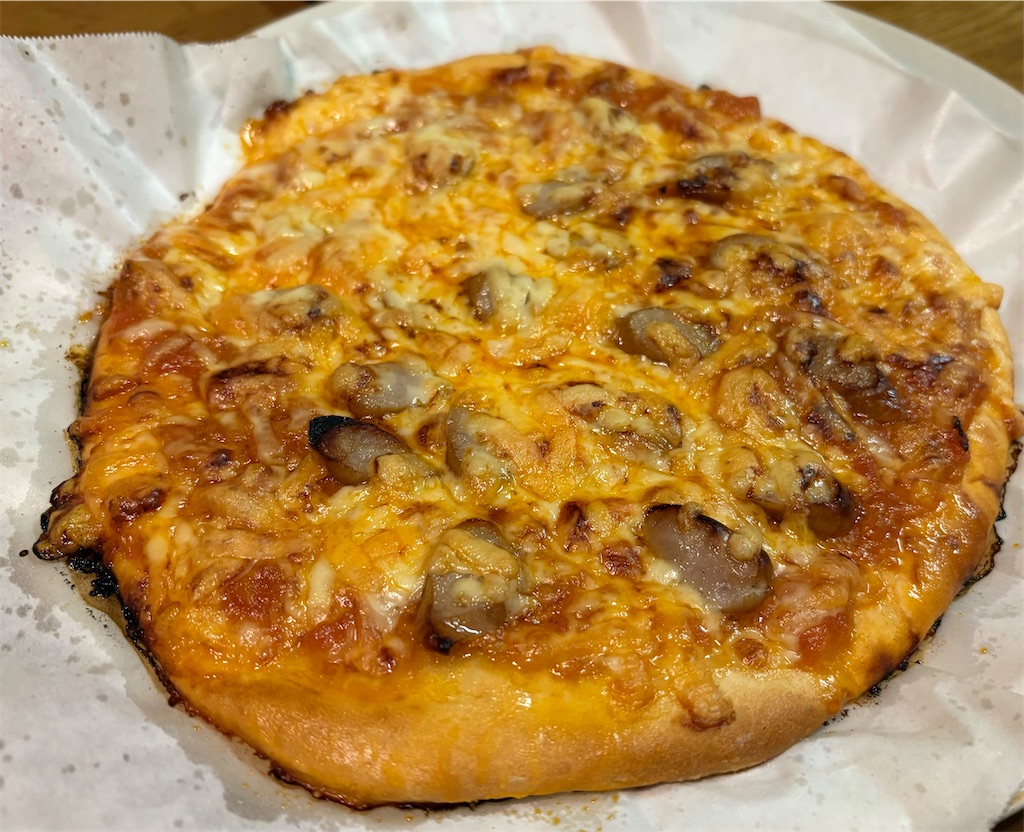 f:id:darucoro9216kun:20241226095309j:image