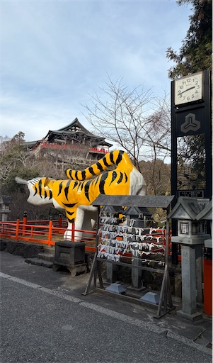 f:id:darucoro9216kun:20250120152345j:image
