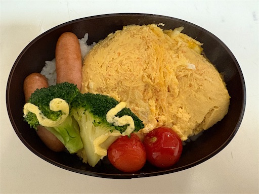 f:id:darucoro9216kun:20250125145733j:image