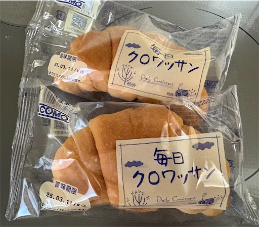 f:id:darucoro9216kun:20250128145234j:image