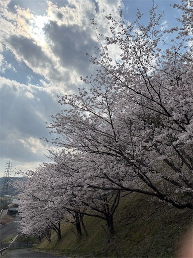 f:id:darucoro9216kun:20250407144134j:image
