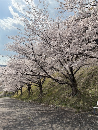f:id:darucoro9216kun:20250407144142j:image