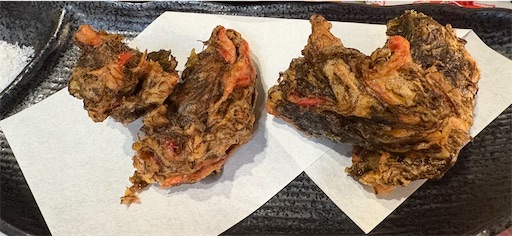 f:id:darucoro9216kun:20250428143324j:image