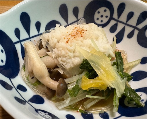 f:id:darucoro9216kun:20251009222240j:image