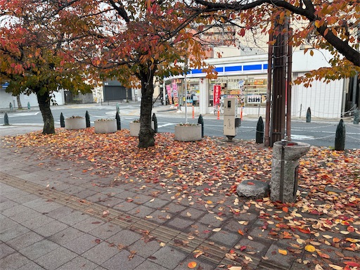 f:id:darucoro9216kun:20251127120648j:image