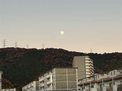 f:id:darucoro9216kun:20251206200038j:image f:id:darucoro9216kun:20251206200038j:image