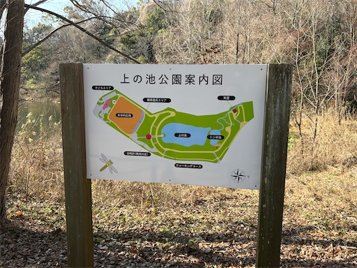 f:id:darucoro9216kun:20260123230714j:image