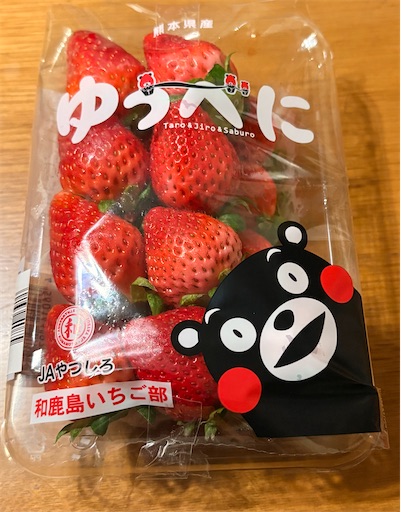 f:id:darucoro9216kun:20260327213039j:image