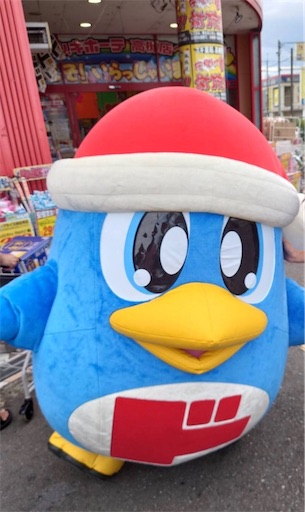f:id:darucoro9216kun:20260531102206j:image f:id:darucoro9216kun:20260531102206j:image