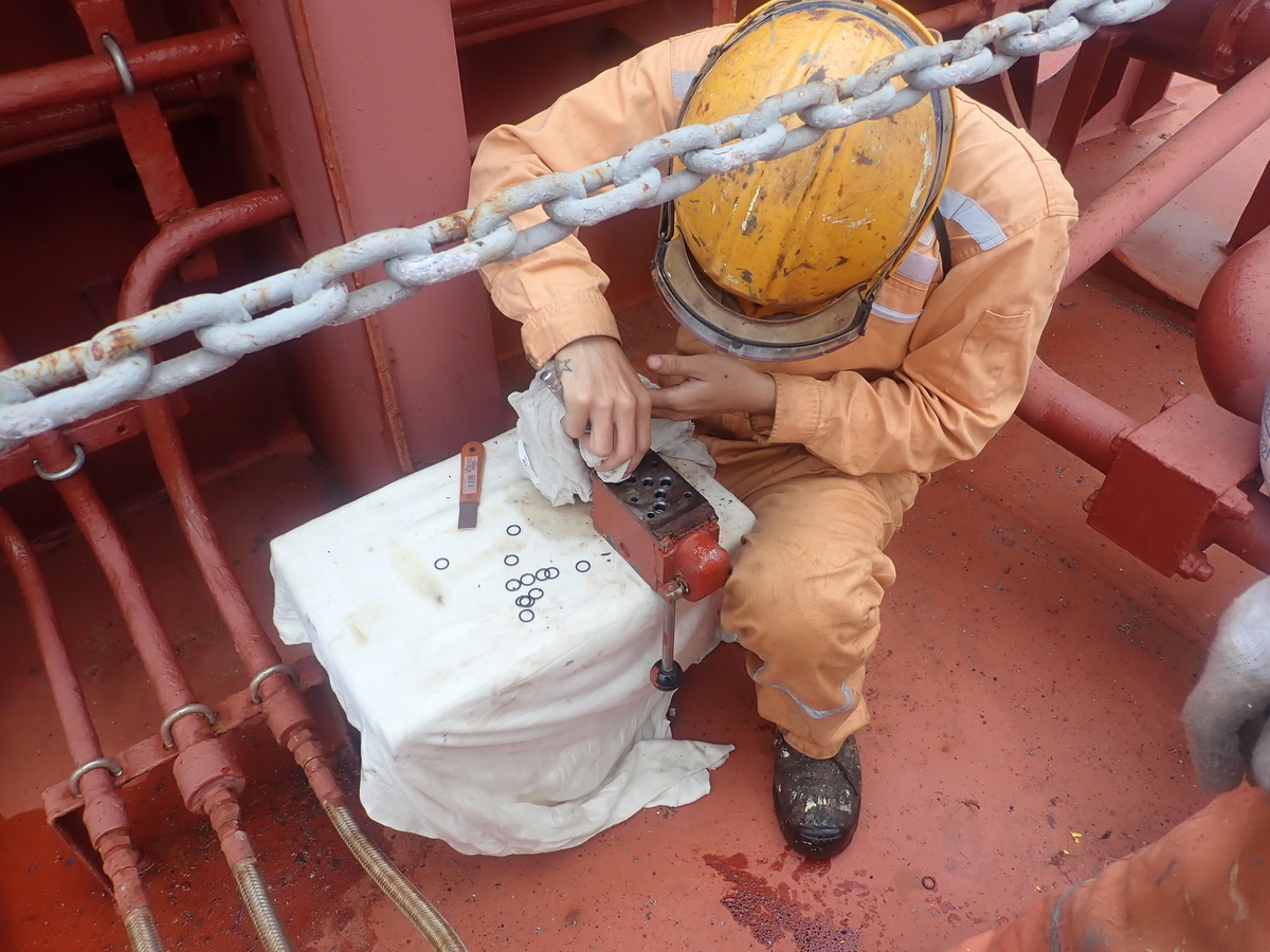 f:id:darudaruma88:20210304131358j:plain