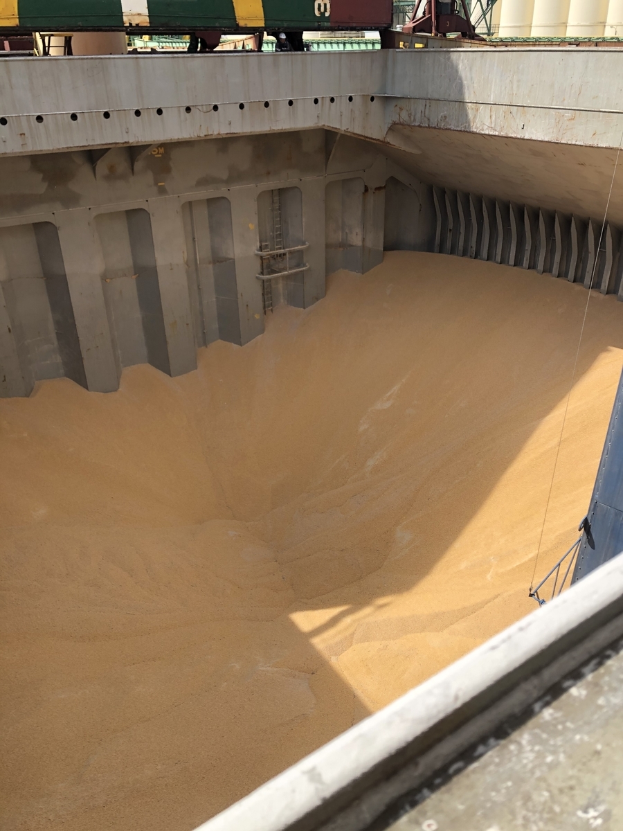 f:id:darudaruma88:20210420135238j:plain