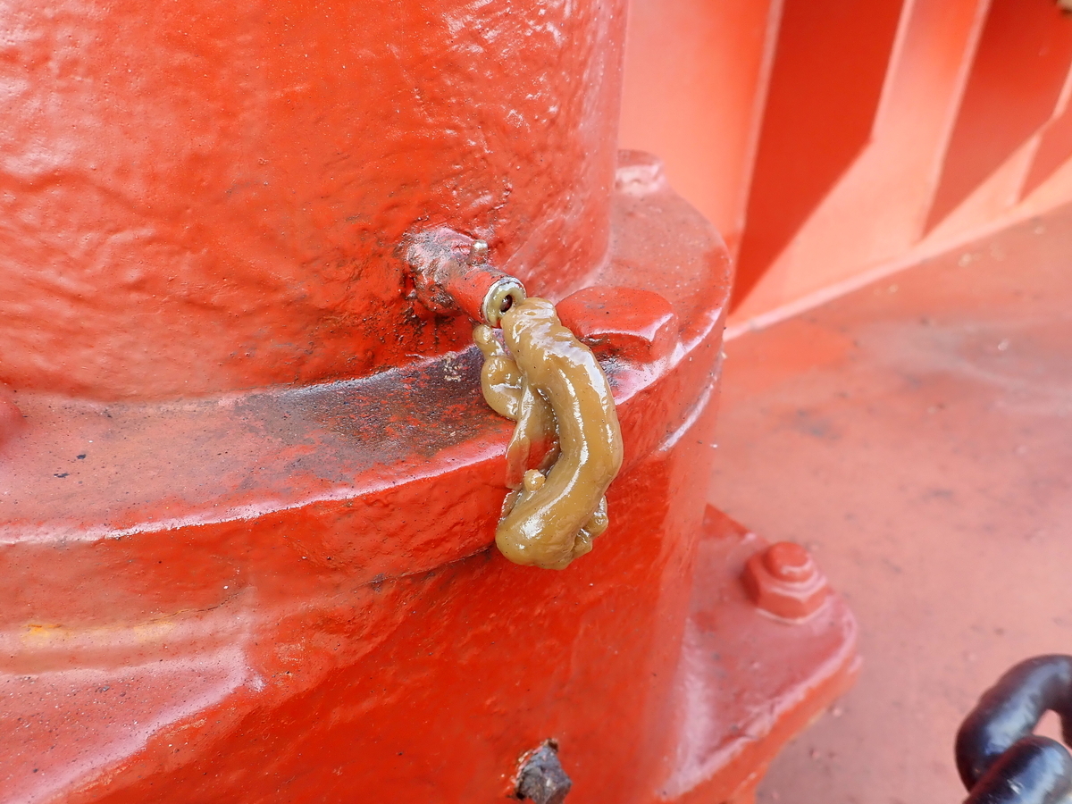 f:id:darudaruma88:20211012100614j:plain