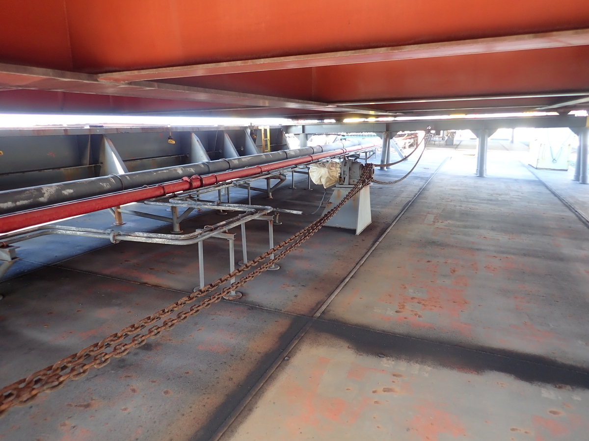 f:id:darudaruma88:20220117140311j:plain