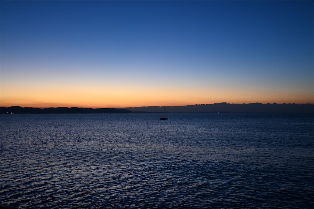 f:id:daruma-373:20230201190532j:image f:id:daruma-373:20230201190532j:image