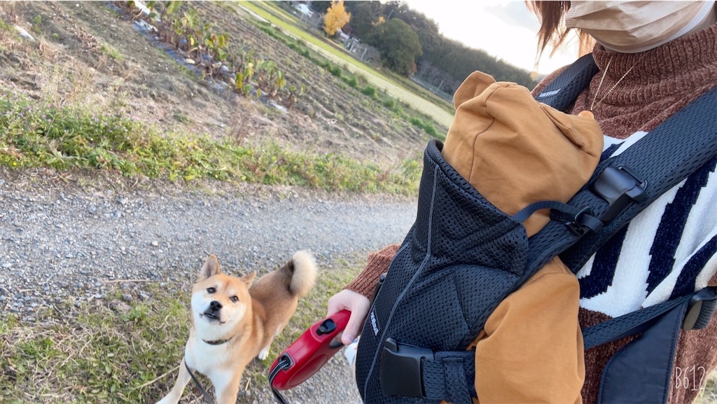 f:id:darumame4638:20211227074640j:image