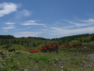 f:id:darumammz:20090620121754j:image f:id:darumammz:20090620121754j:image