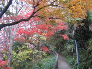 f:id:darumammz:20091213104306j:image f:id:darumammz:20091213104306j:image