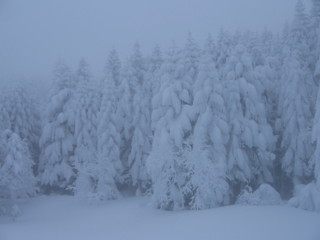f:id:darumammz:20091219150501j:image